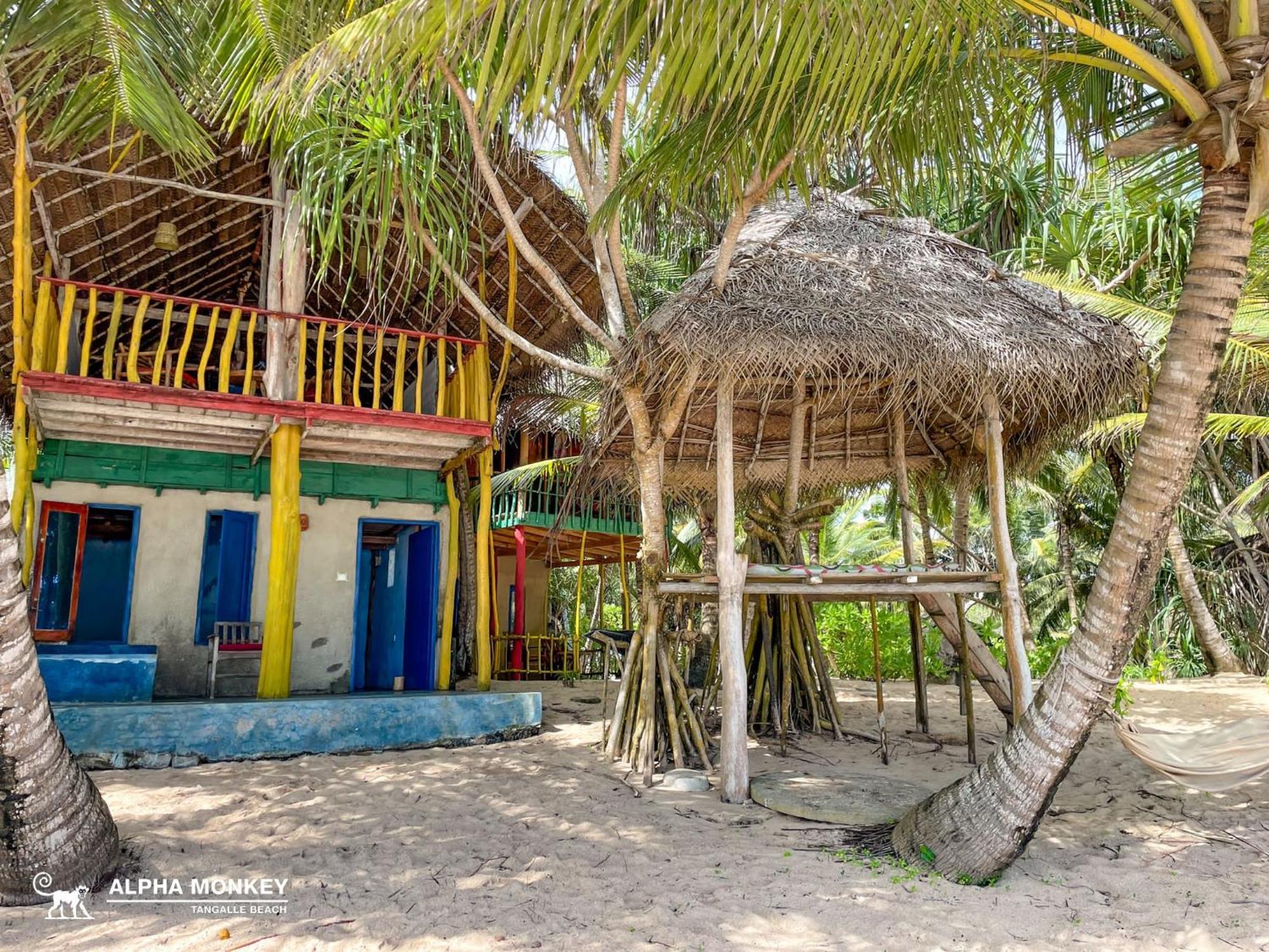 The Alpha Monkey Hotel & Tree House Tangalle Zimmer foto